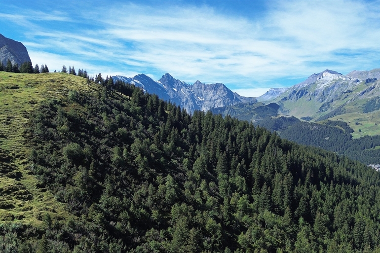 Spot où faire voler son drone