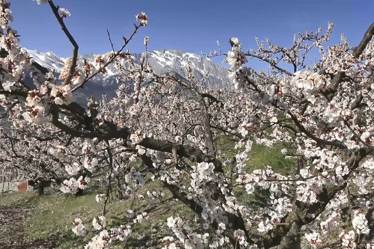 Spot où faire voler son drone