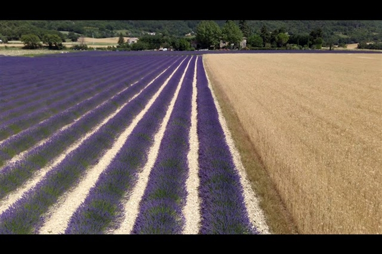 Spot où faire voler son drone