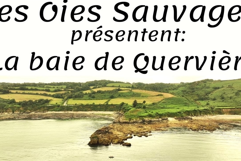 Spot où faire voler son drone