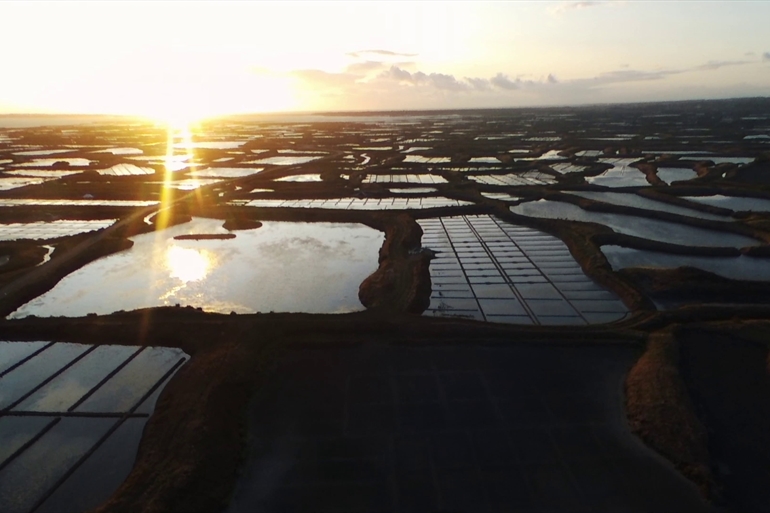 Spot où faire voler son drone