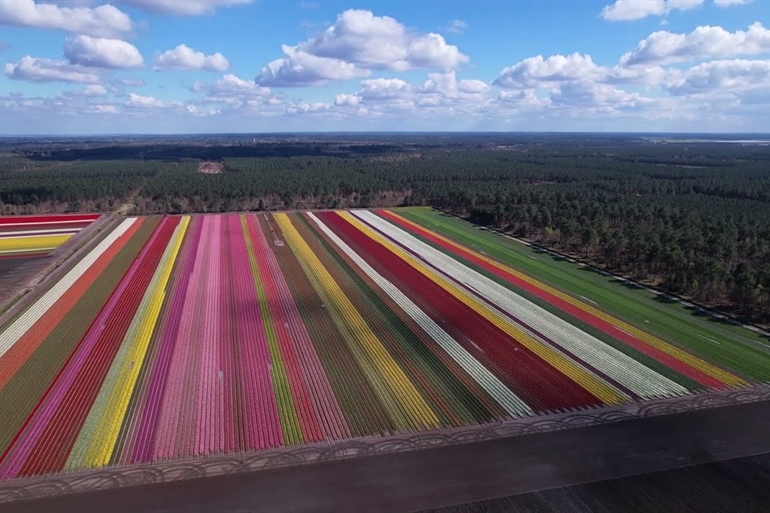 Spot où faire voler son drone