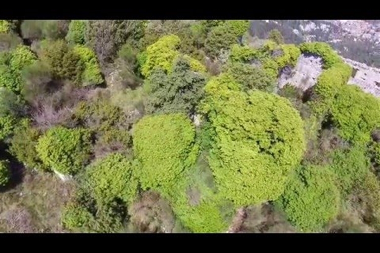 Spot où faire voler son drone