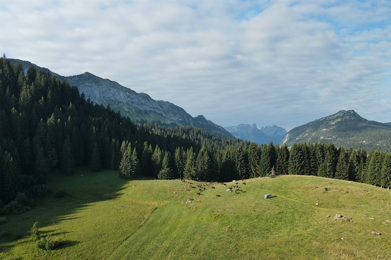 Spot où faire voler son drone