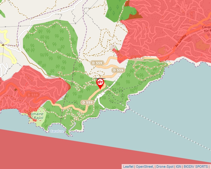 Geoportal map