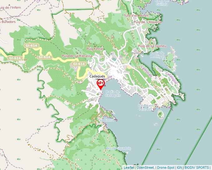 Geoportal map