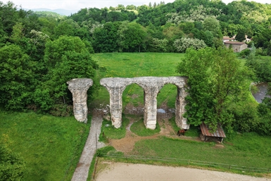 Image category