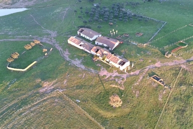 Image category