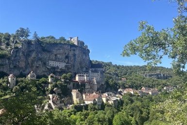 Image category
