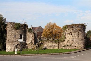 Image category