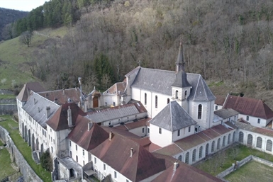 Image category