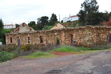 Image category