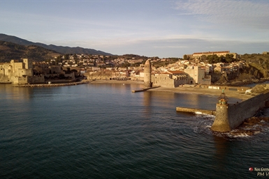 Image category