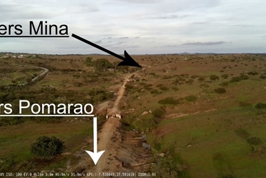 Image category