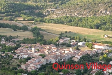 Image category