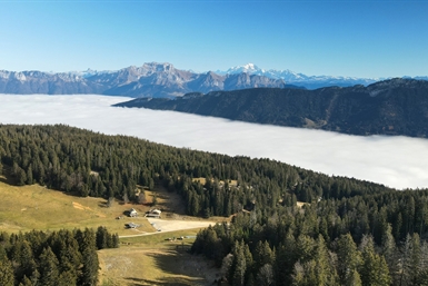 Image category