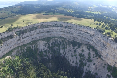 Image category