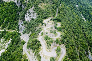 Image category