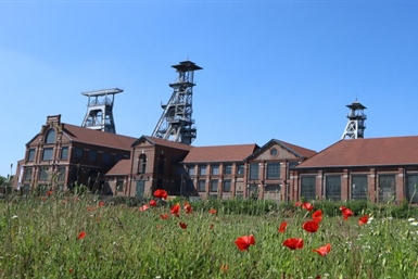 Image category