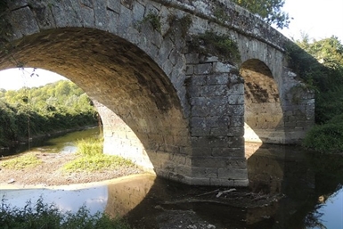 Image category