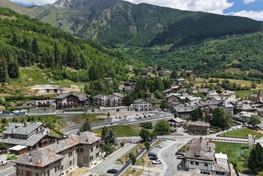 Image category