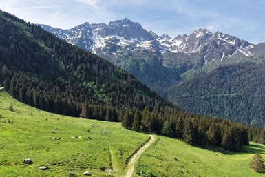 Image category