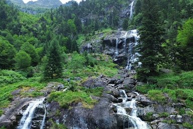 Image category