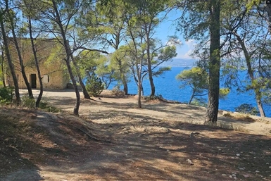 Image category