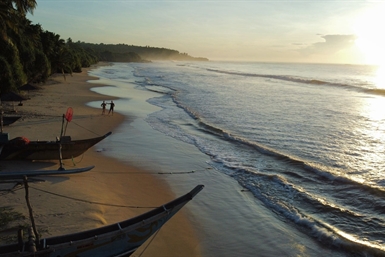 Image category