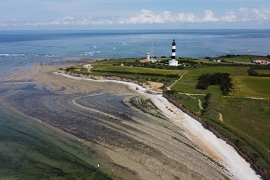 Image category