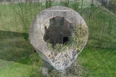 Image category