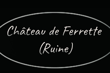 Image category