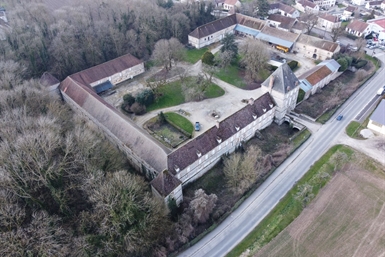 Image category