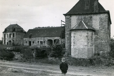 Image category