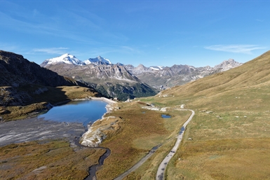 Image category
