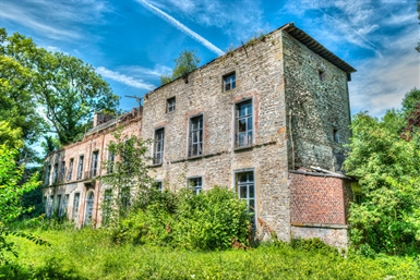 Image category