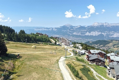 Image category