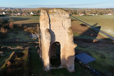 Image category