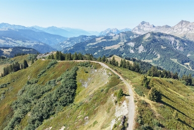 Image category