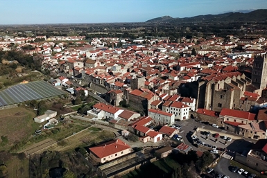 Image category