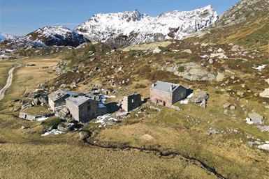 Image category