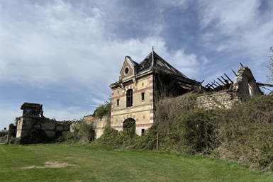 Image category