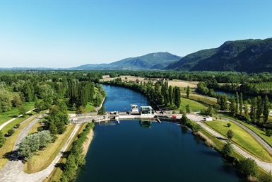 Image category