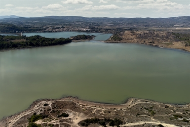 Image category