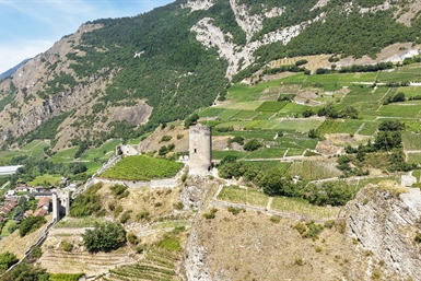 Image category