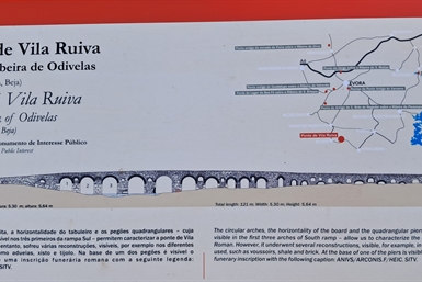 Image category