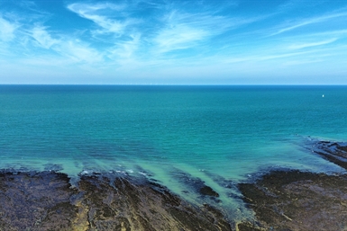 Image category
