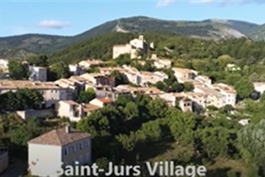 Image category