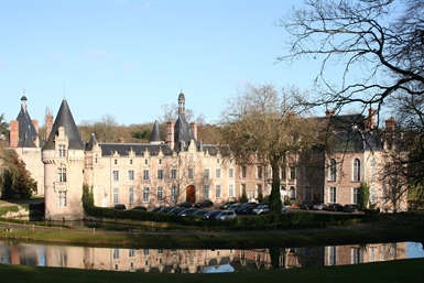 Image category