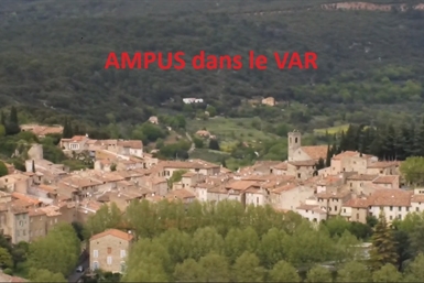 Image category